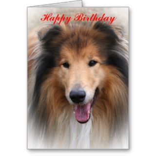 collie dog happy birthday  greeting card template