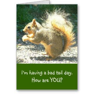 funny card, photo/squirrel, "Having Bad Tail Day"