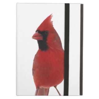 Cardinals iPad Air Cases