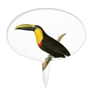 Doubtful Toucan Bird Illustration by William Swain Cake Toppers
