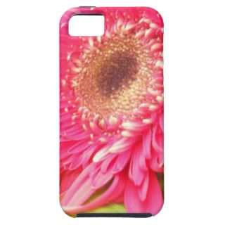 Somadlyinlove Pink and Green Floral iPhone 5 Cases