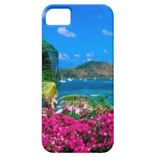 Beach French Cul De Sac Saint Martin iPhone 5/5S Cover