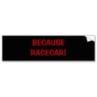 BECAUSE RACECAR BUMPER STICKER