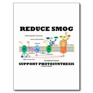 Reduce Smog Support Photosynthesis Post Card