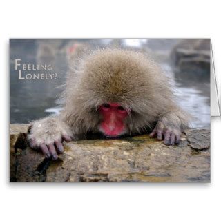 Lonely snow monkey in Nagano, Japan Greeting Card