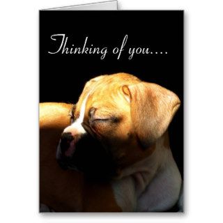 Thinking of you Sleeping boxer puppy greeting card