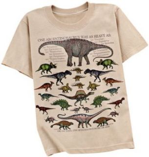 Dinosaur Math Children T Shirt Clothing