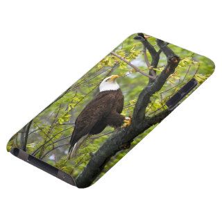 Nature's Majesty (Bald Eagle perched in a tree) 2 iPod Case Mate Case