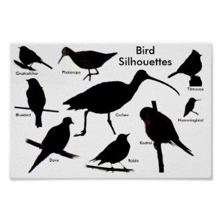 Bird Silhouettes 2 Poster