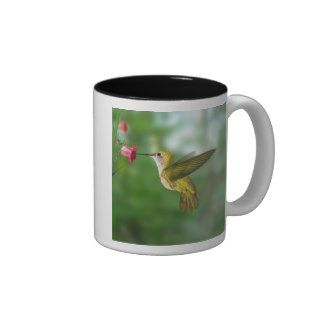 Good Morning Honey I love You with Humming bird Ph Mug