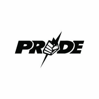(2x) 5" Pride MMA UFC Logo Sticker Vinyl Decals Automotive