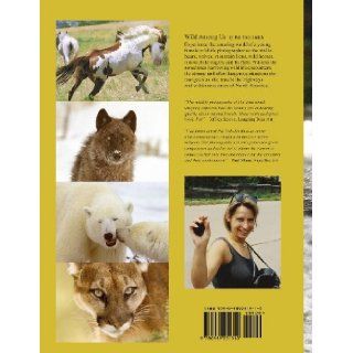 Wild Among Us True adventures of a female wildlife photographer who stalks bears, wolves, mountain lions, wild horses and other elusive wildlife Pat Toth Smith 9780989251310 Books