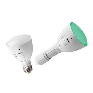 AgroLED 960415 Flashlight/Lamp, Green  Patio, Lawn & Garden