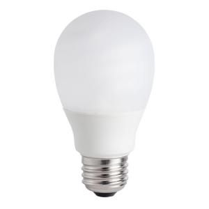 Philips 60W Equivalent Soft White (2700K) A19 CFL Light Bulb (12 Pack) (E*) 415034