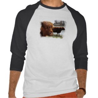 Scottish Highland Cattle ~ T Shirts