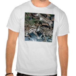 Zebra Exodus Across River Burchell T shirts