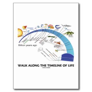 Walk Along The Timeline Of Life Biology Evolution Post Cards
