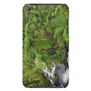 Brook in  rainforest with tree ferns   Oceania, Barely There iPod Covers