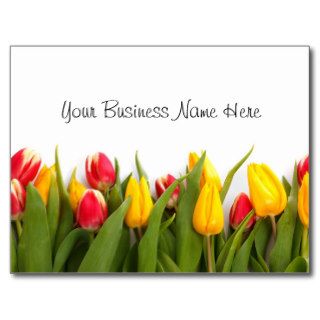 Tulips Floral Gift Certificate Postcard