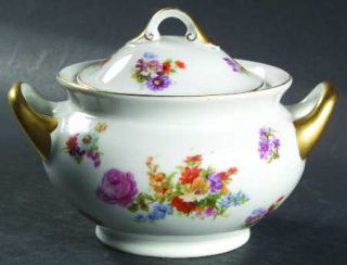 Pirkenhammer Dresden Sugar Bowl & Lid, Fine China Dinnerware   Multimotif Floral