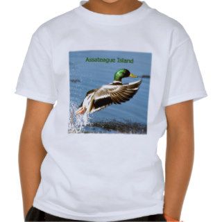 Assateague Island Mallard Duck Logo Tshirts