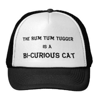 The Rum Tum Tugger is a Bi Curious Cat Hats