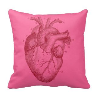 Human heart   anatomy pillow