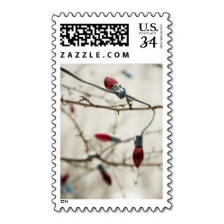 Christmas Greetings Postcard Rate Postage Stamp