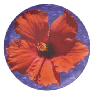 Pretty Red Hibiscus Flower Plates