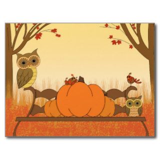 Autumn Pumpkin Owls Postcards
