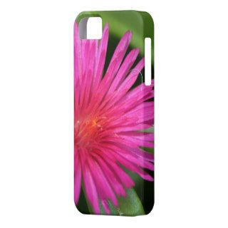 Pink Flower of Succulent Carpet Weed iPhone 5 Covers