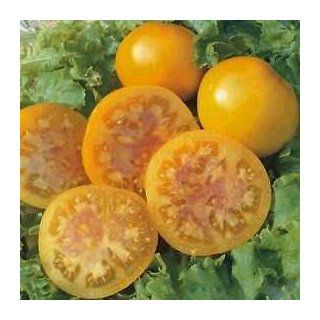 Pink Grapefruit Tomato 15 Seeds  Yellow Skin  LOW ACID  Vegetable Plants  Patio, Lawn & Garden