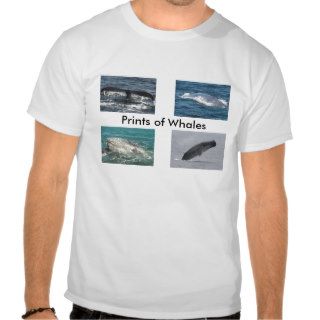 Prints of Whales Shirt