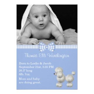 Blue & White Poodle Baby Boy Birth Announcement