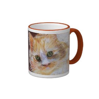 Cat Lover Gift Orange Cat Face Portrait Gratitude Coffee Mugs