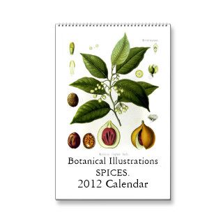 Spices 2012 calendar