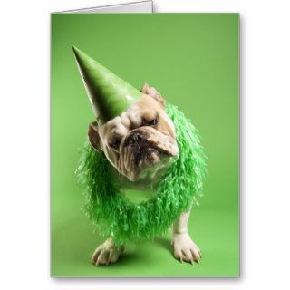 "Dog Years" Birthday Card