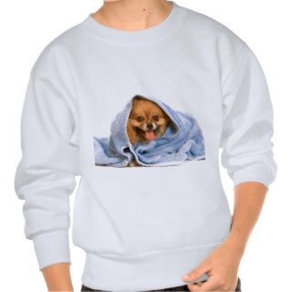 Dog After The Bath Pomeranian Pull Over Sweatshirt
