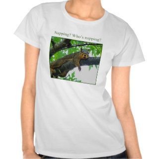 Funny Squirrel Napping? Who's Napping? Tees