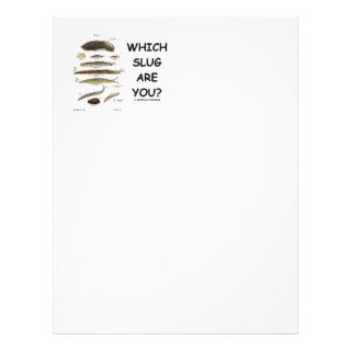 Which Slug Are You? (Different Types Of Slugs) Letterhead Design