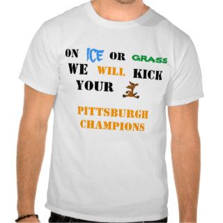 PITTSBURGH STEELERS  FUNNY SHIRT