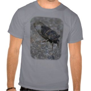 Cicada Ugly Bug Insect Nature T Shirt