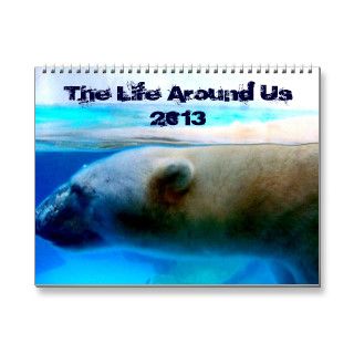 The Life Around Us Calendar 2013