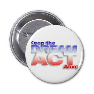 Keep DREAM Act Alive Pin
