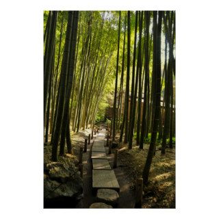 Bamboo Forest Posters
