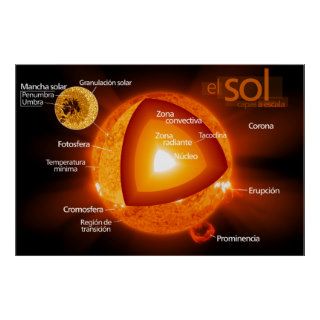 Diagrama del sol Spanish Diagram of the Sun Print
