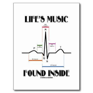 Life's Music Found Inside (ECG/EKG Heartbeat) Post Card
