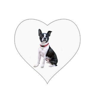 Boston Terrier (red collar) Heart Stickers