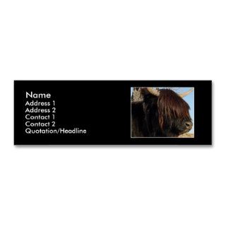 Profile Card Template   Highland Cattle Business Card Templates
