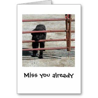 Miss you already greeting card